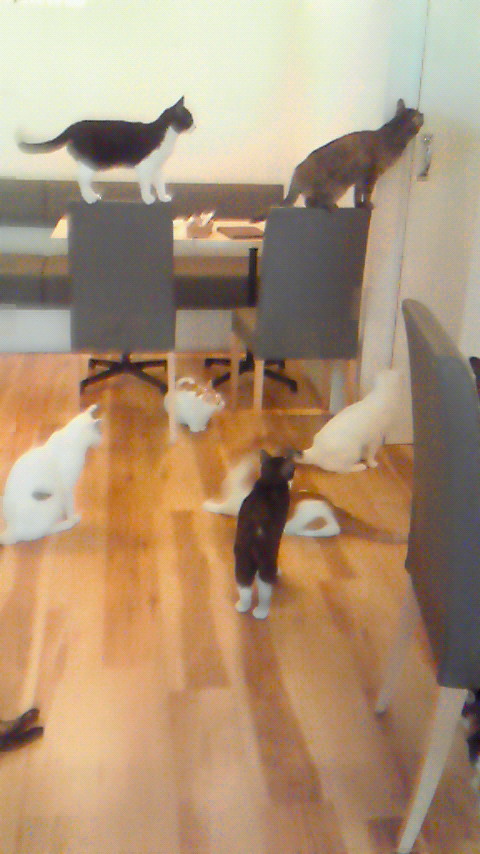 201009141554000.jpg