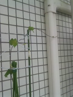 100702_104737.jpg