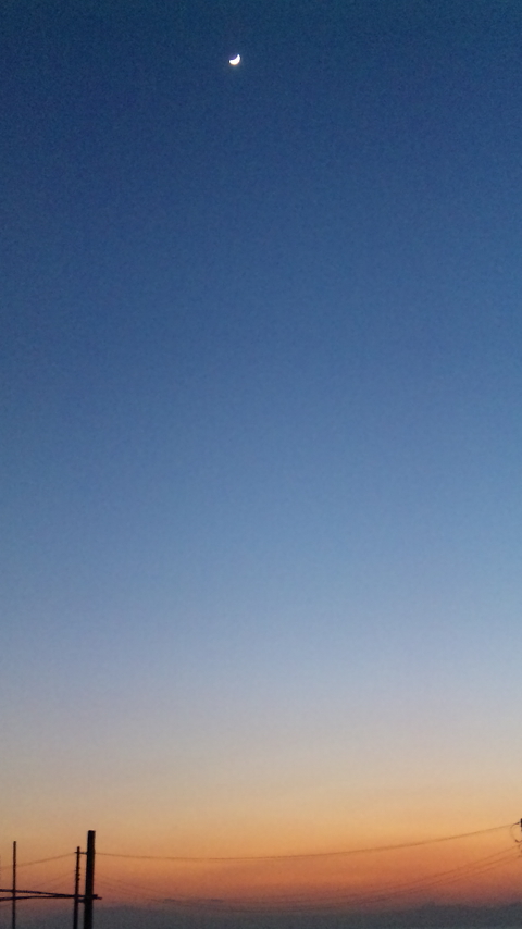 DVC00265.jpg